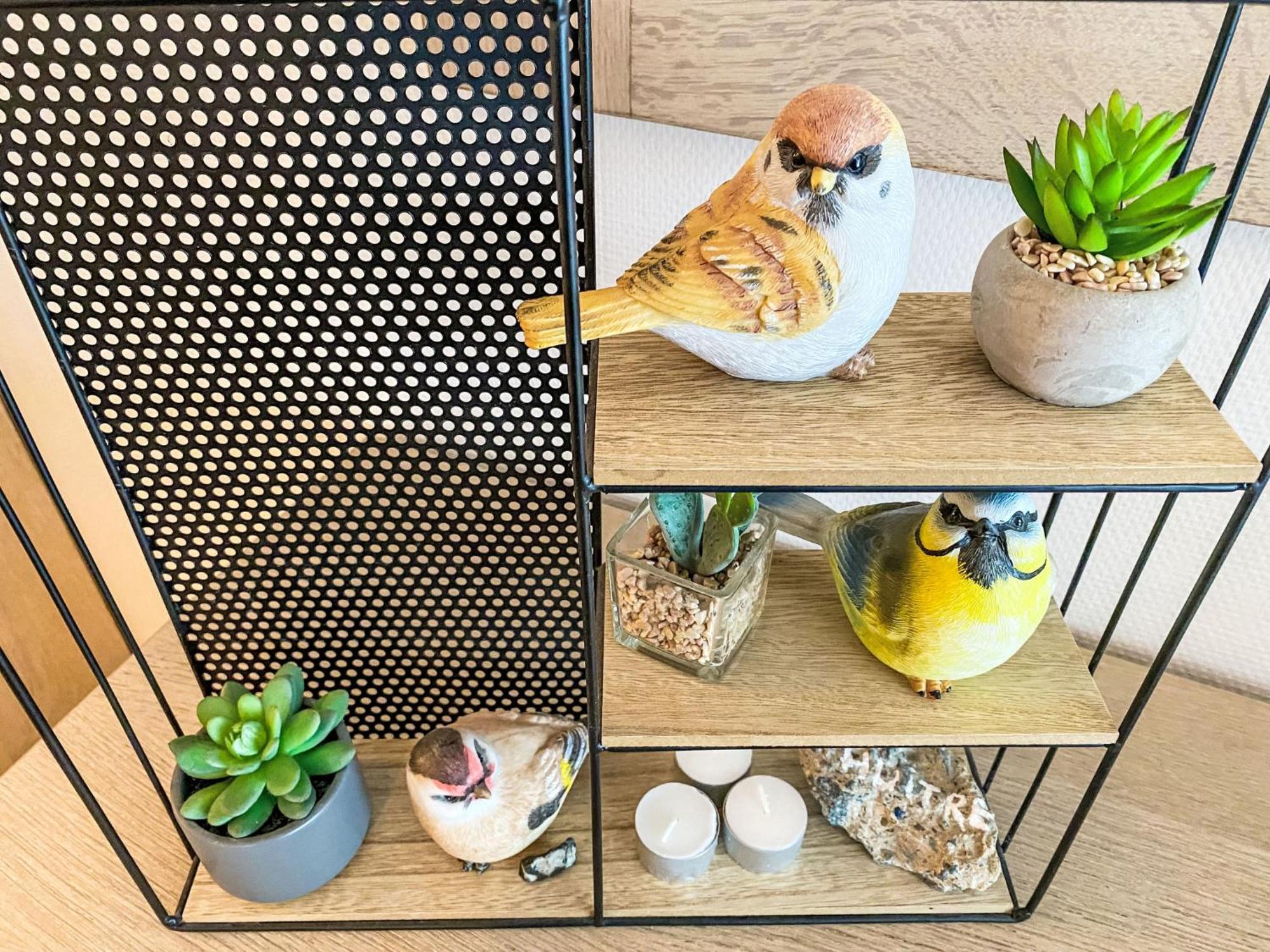 Apartment Residentie Astrid-7 By Interhome 布列登 外观 照片